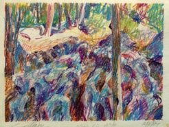 Woods view
crayon